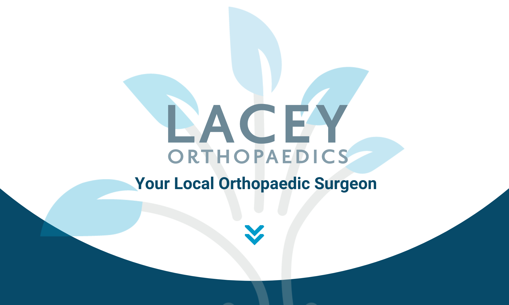Lacey Orthopaedics